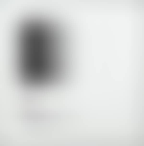 Without title (preview)