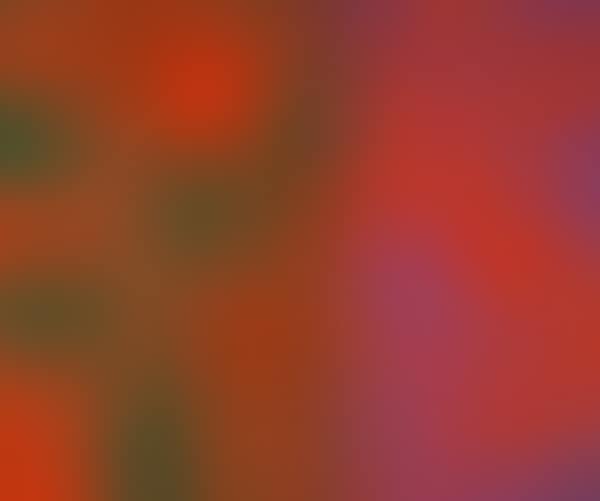 Purple green orange (preview)