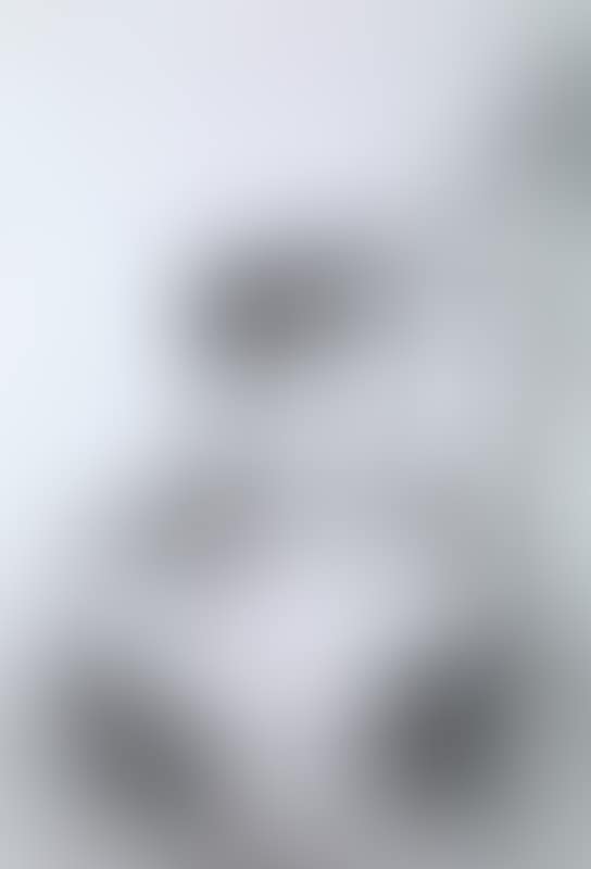 Without title (preview)