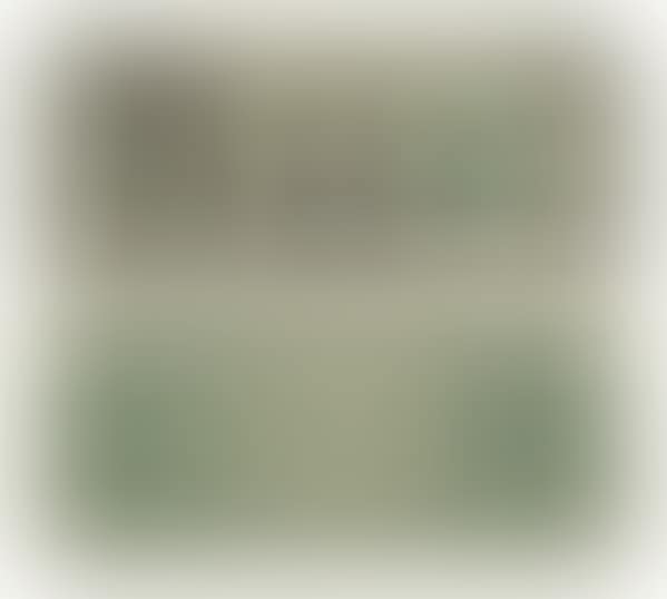 Dismal Dollar (Real Currency) (preview)