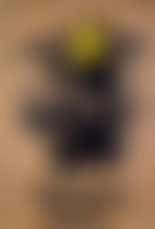 Grim Reaper (Wrong War placard) (preview)