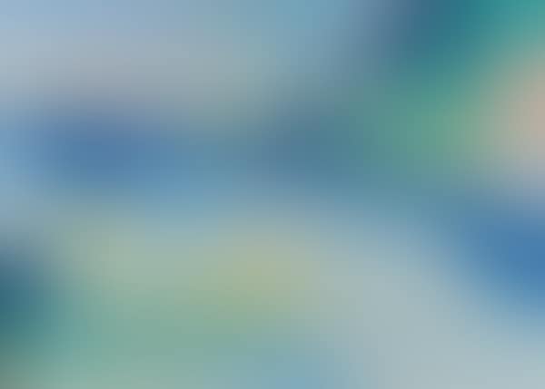 Without title (preview)