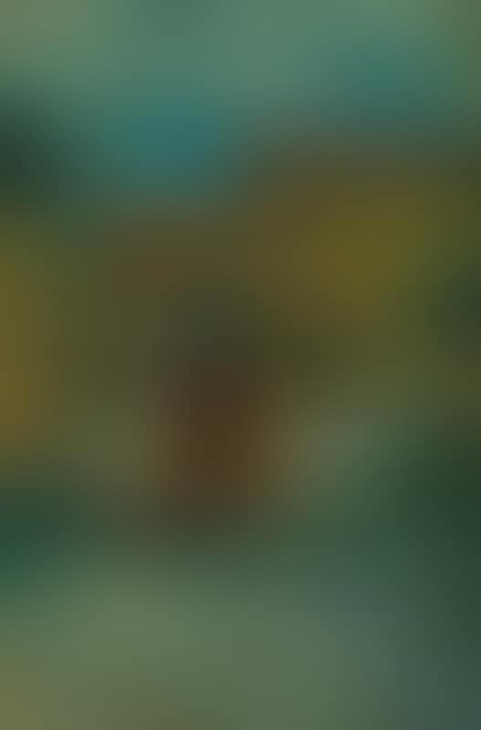 Carriage (preview)