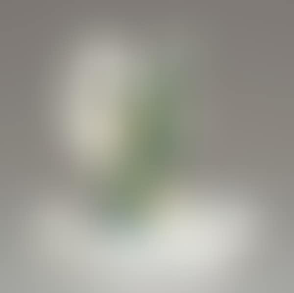 Simone de Beauvoir 1 (preview)