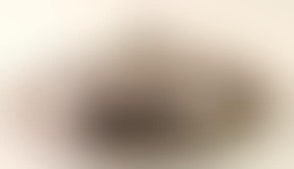 Legumes (preview)