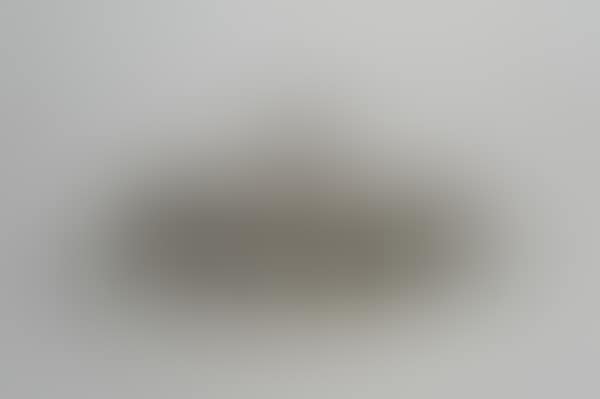 Legumes (preview)