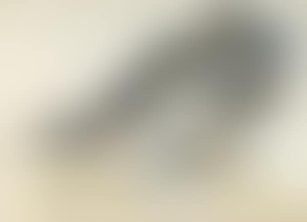 Vegetation (preview)