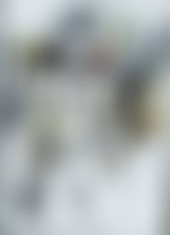 Figure (preview)