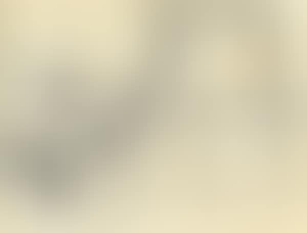 Without title (preview)