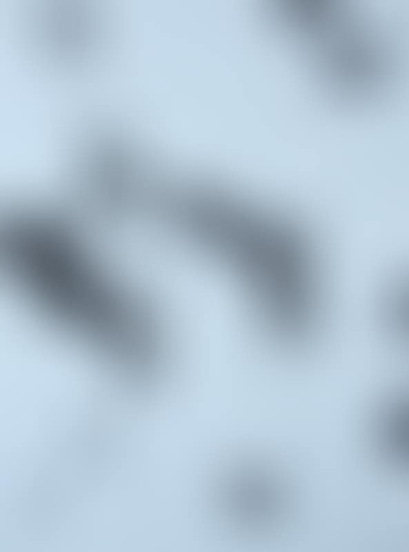 Without title (preview)