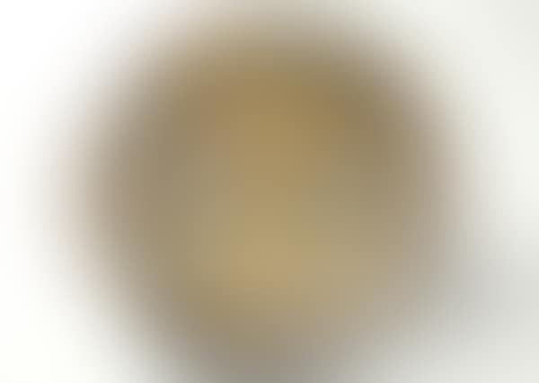 Dish (preview)