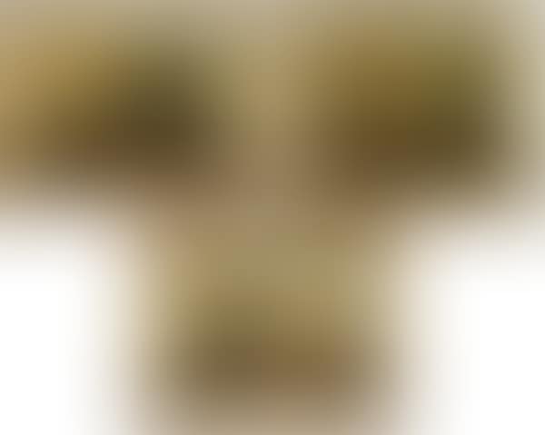 Landscapes (preview)