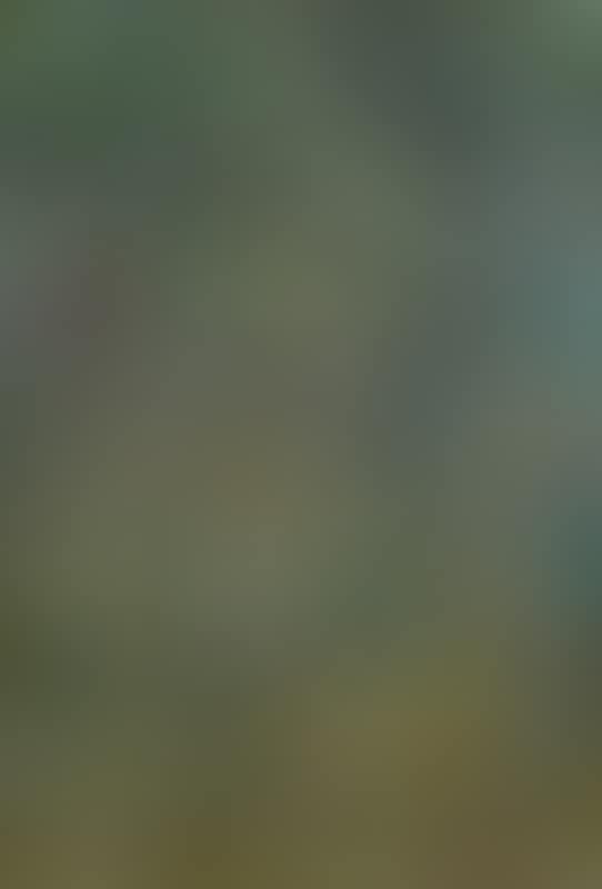 Shepherd and flock (preview)