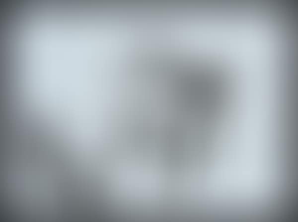 Without title (preview)