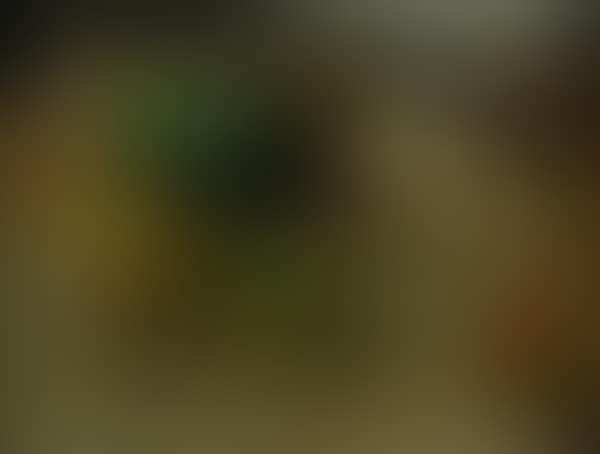 Still life (preview)