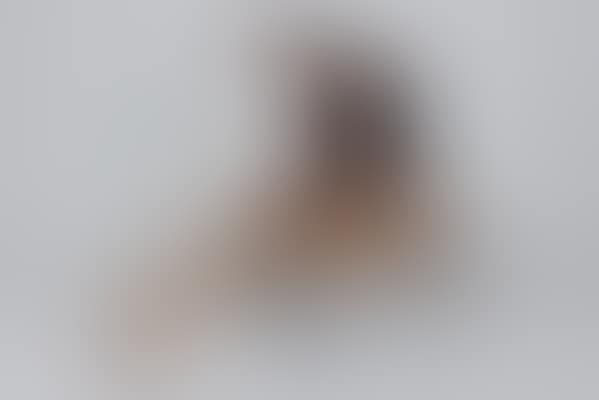 Carriage model (preview)