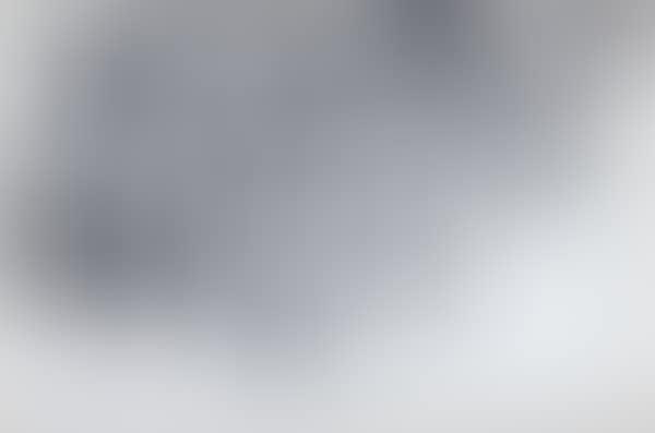 Without title (preview)