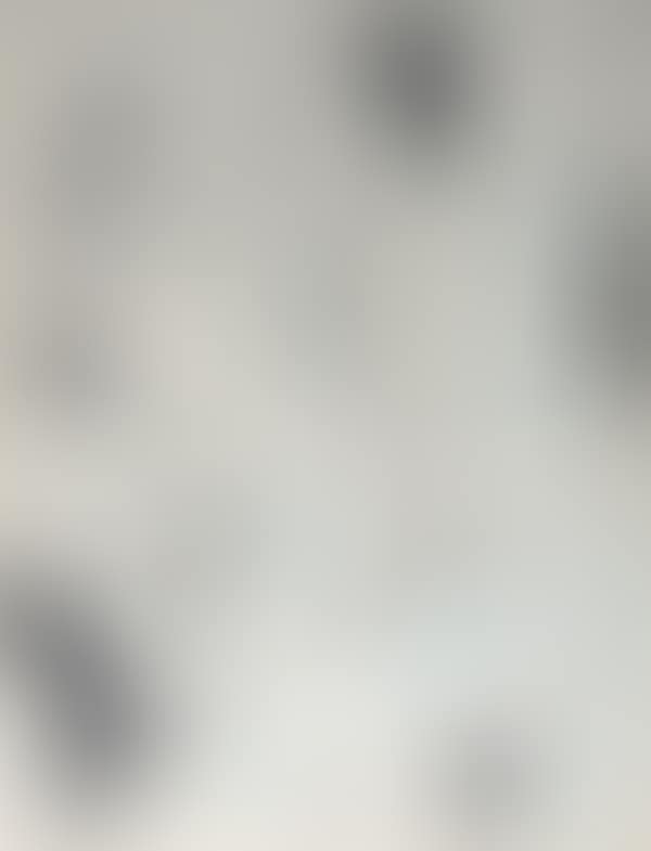 Without title (preview)