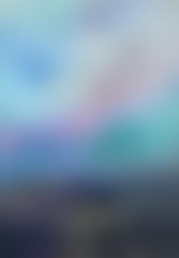 Without title (preview)