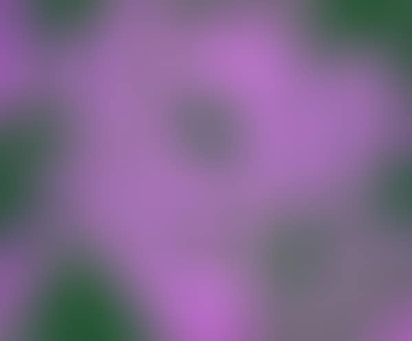 Purple/Green (preview)