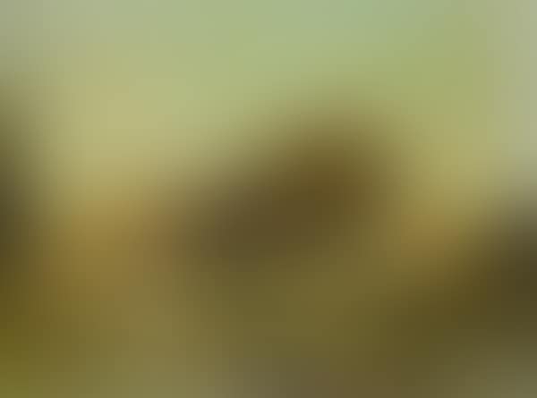 Landscape with houses (preview)