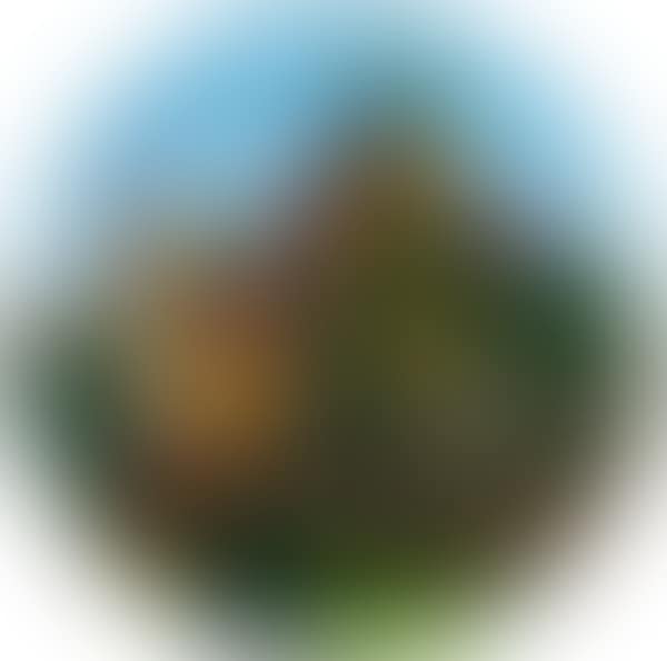 Germany (preview)