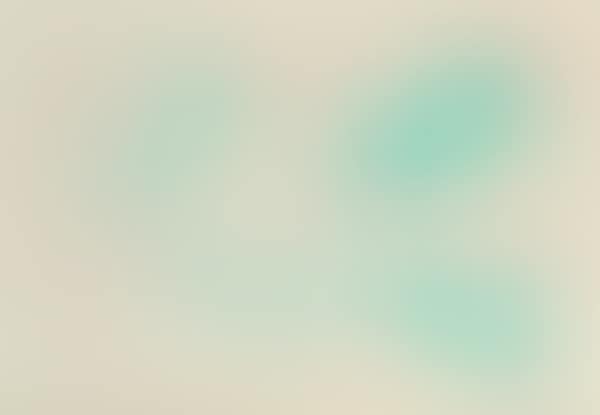 Without title (preview)