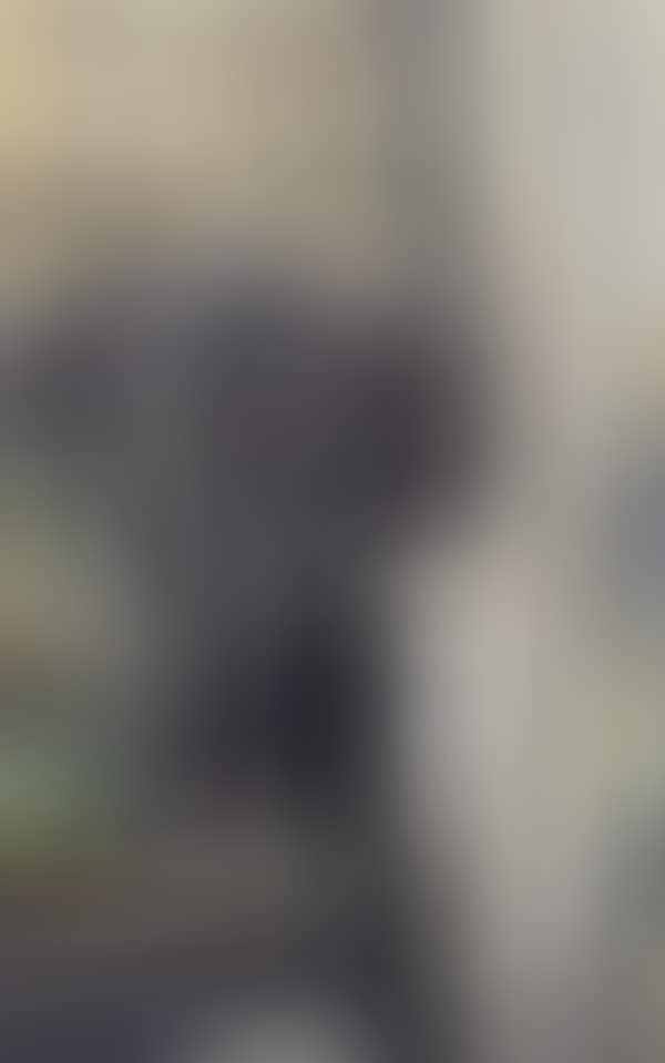 Horse in the stable (preview)