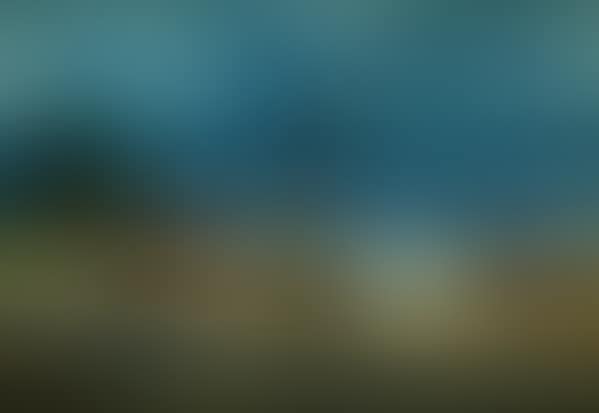 Landscape in Ardenza (preview)