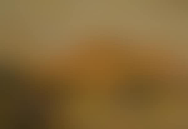 Alpine landscape (preview)