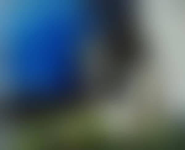 Nude (preview)