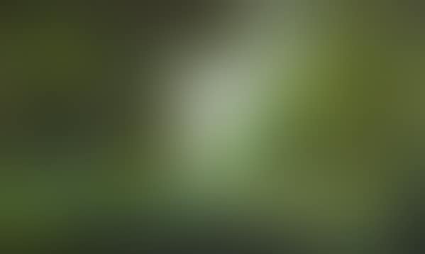 Landscape with Figures (preview)