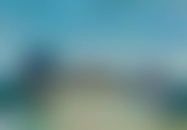 Shepherdess with flock (preview)