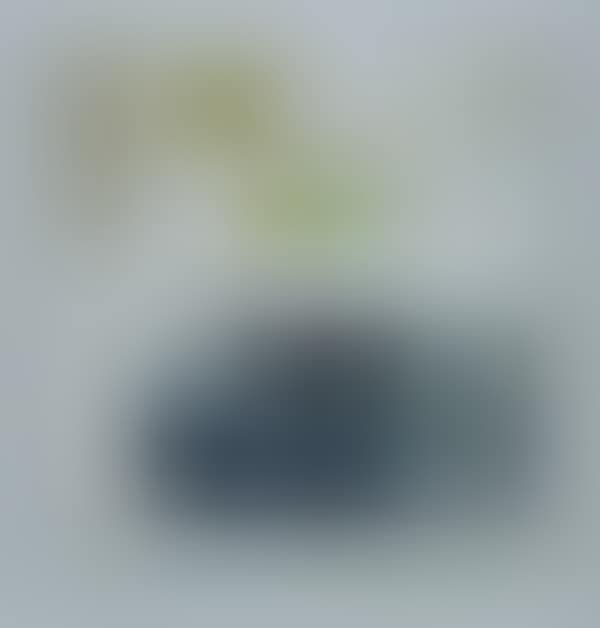 Untitled (preview)