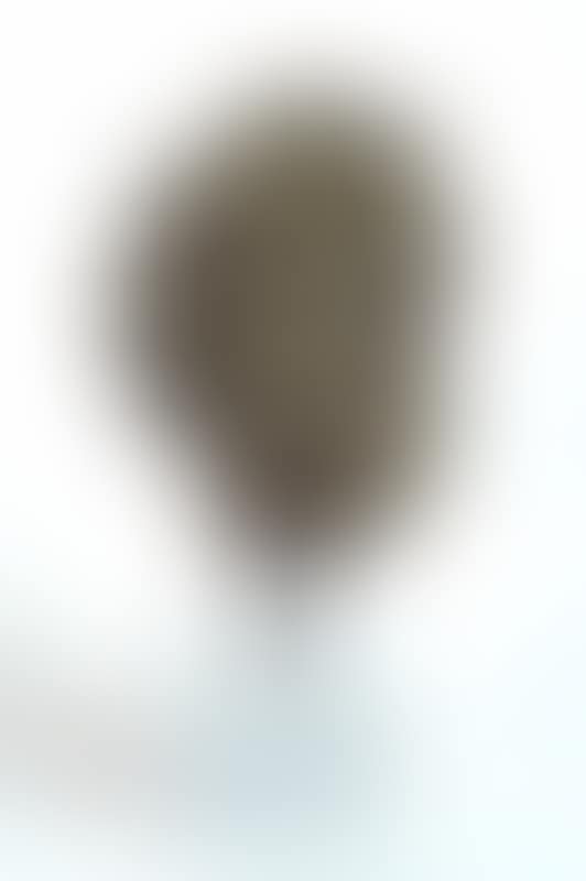 Head of Lacoön (preview)