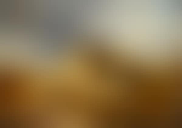 Flock (preview)