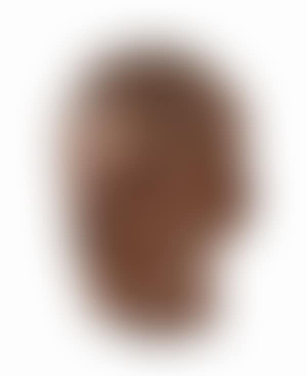 Manly portrait (preview)
