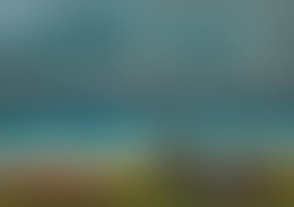Woman on the seafront (preview)