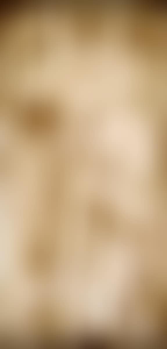 Without title (preview)