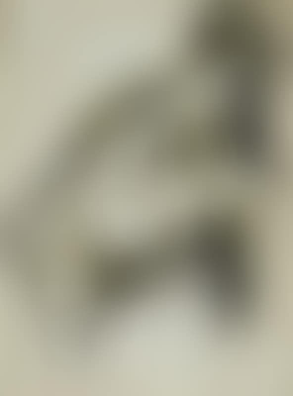 Nude of a woman (preview)