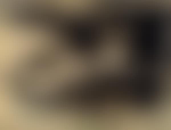 Reclining nude (preview)