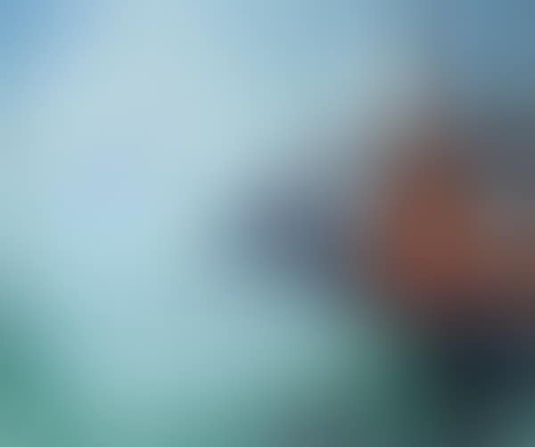 Venice (preview)
