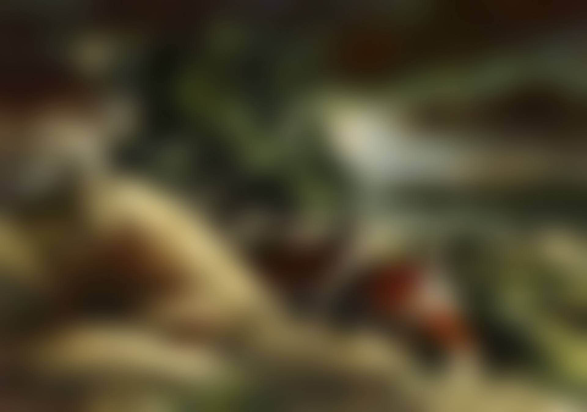 Dunes à Equihen (preview)