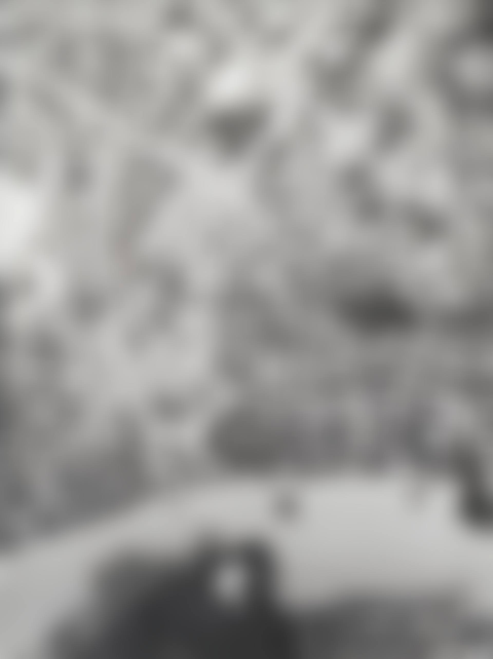 BRIDGE 14 FEB 45 (II). (preview)