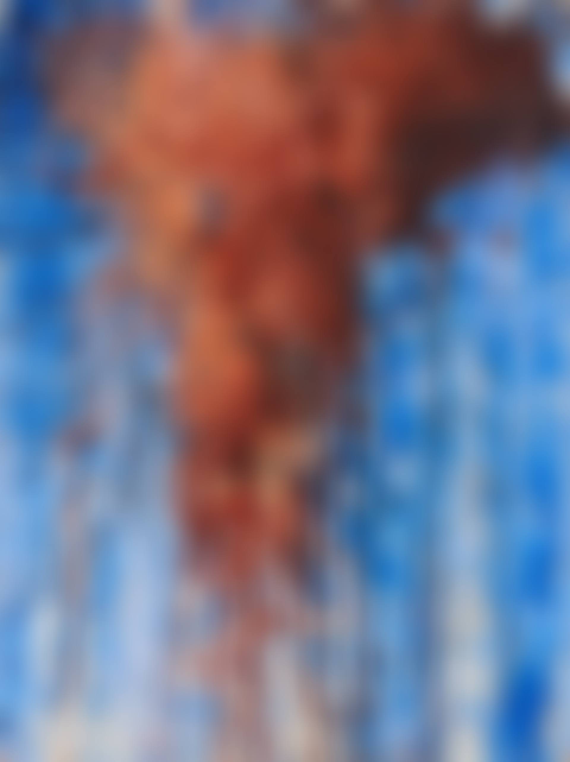 Untitled (preview)