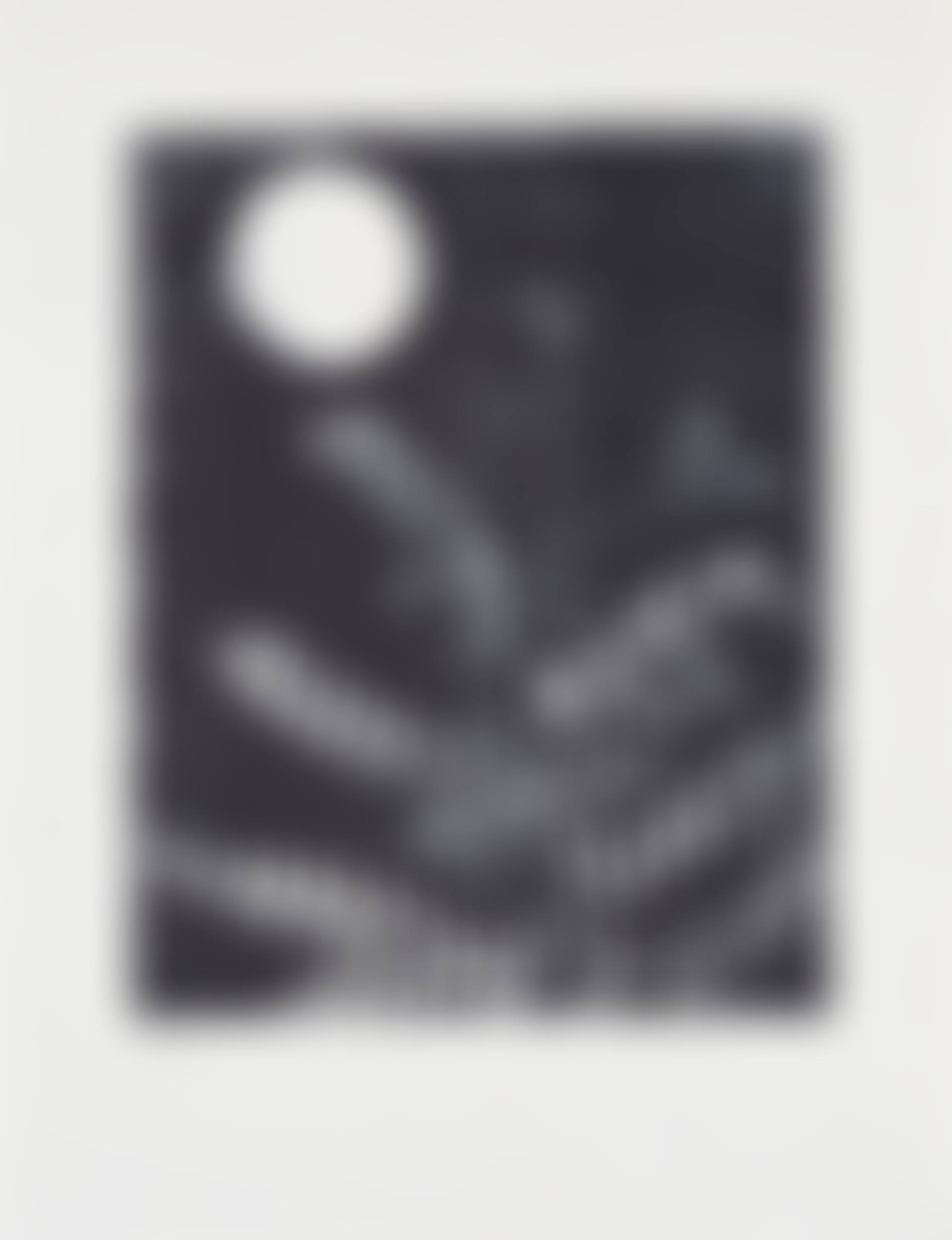 From: Patrick Waldberg, Aux petits agneaux (preview)