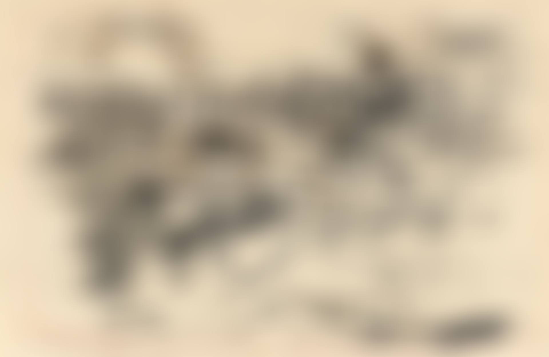 Untitled (Derby). (preview)