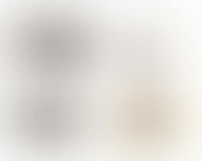 Portfolio of Works * (preview)