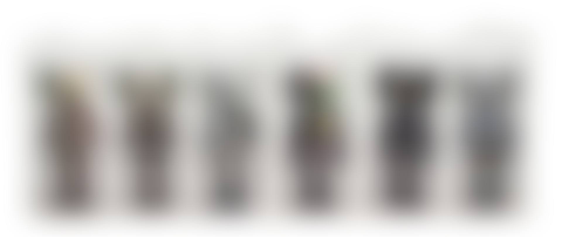 COMPANIONS AND FLAYED COMPANIONS (BROWN/ BLACK/ GREY) (Six Works) | 同伴與切開同伴（褐/ 黑/ 灰）（六件作品） (preview)