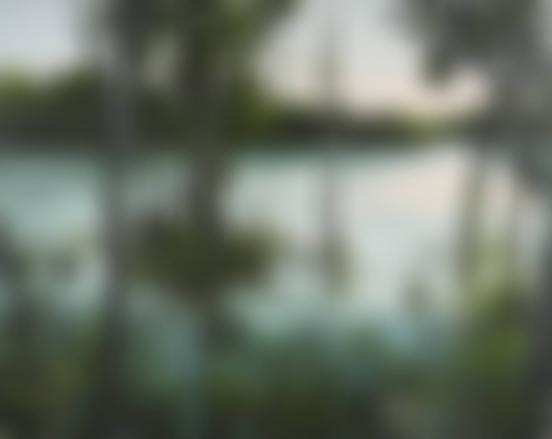 Untitled. (preview)
